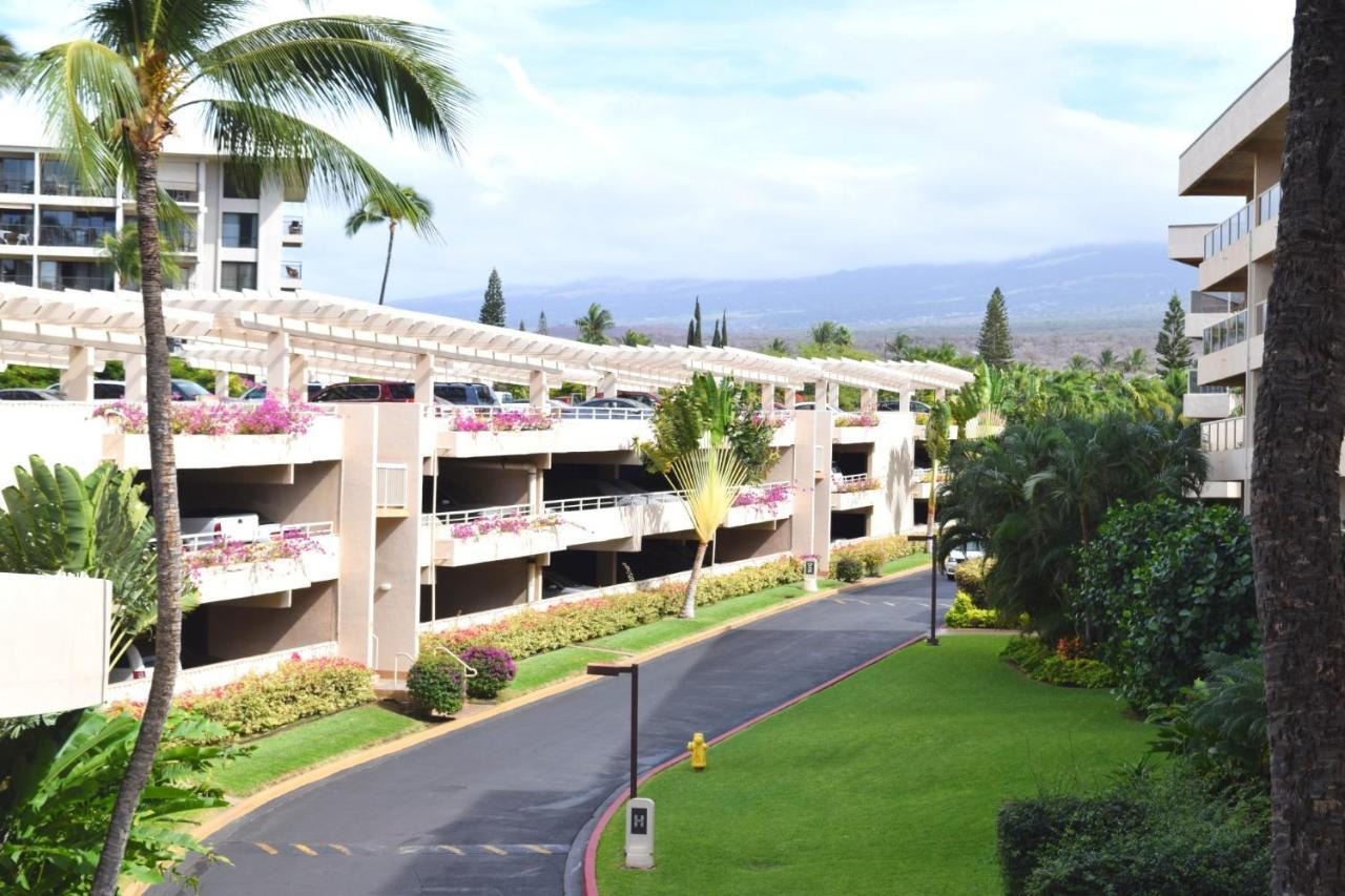 Maui Banyan G310C Appartement Wailea  Buitenkant foto